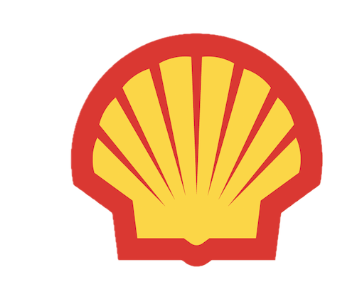 Shell Pecten smaller